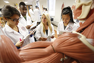 Photo of medical students. Links to Gifts of Appreciated Securities.